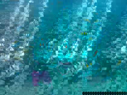 Sea-Trek-Helmet-Diving-Curacao-6-2048x1536-1